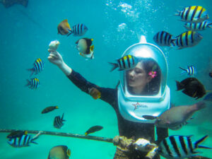 tanjung benoa watersport