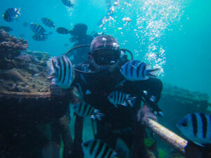 Diving - Bintang Beach Club Dive & Water Sport