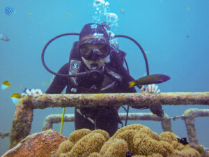 snorkeling tanjung benoa